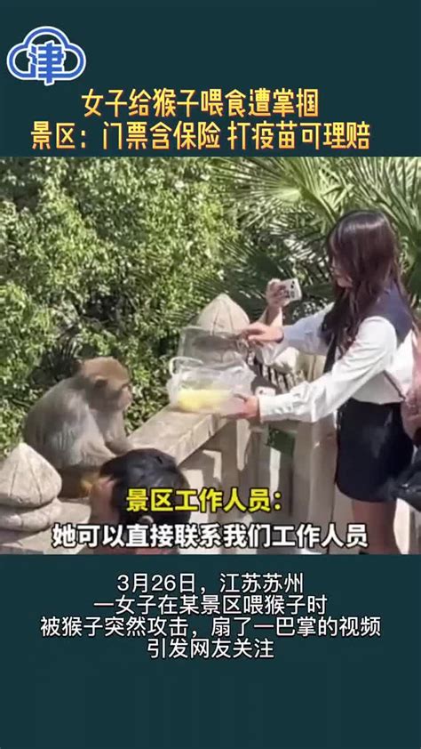 女子给猴子喂食遭掌掴，景区：门票含保险 打疫苗可理赔_新浪新闻