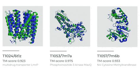 一文了解蛋白功能结构域预测与分析-CSDN博客