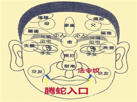 腾蛇入口面相图片