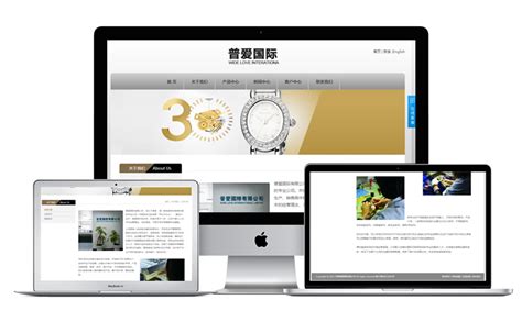 香港普爱国际有限公司网站建设案例|香港, 网页设计, 网站建设, 红色风格