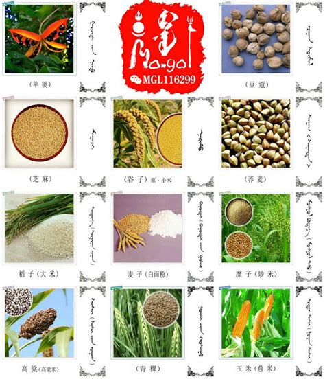 2020年各省粮食产量排名：黑龙江第一，江苏第七，广东第19_社区_聚汇数据
