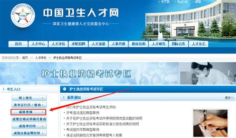 中国卫生人才网官网登录入口