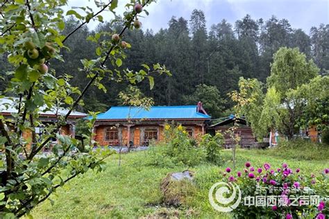 西藏林芝：巴卡村产业遍地开花 - 波密县 - 老家网