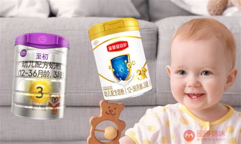 选择至初还是金领冠珍护好，哪款婴儿奶粉适合宝宝呢？-健康-滨海文化网