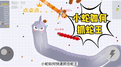 贪吃蛇大作战：小蛇如何快速抓住蛇王-小米游戏中心