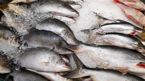 市场上的冰上鲜鱼接近市场高清图片下载-正版图片506243010-摄图网