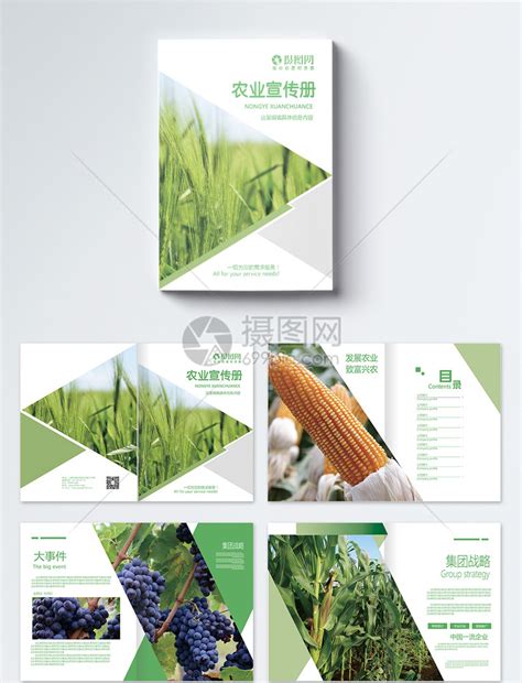 绿色农业画册整套模板素材-正版图片400174130-摄图网