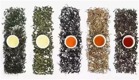 青茶有哪些 青茶的功效与作用_乌龙茶_绿茶说