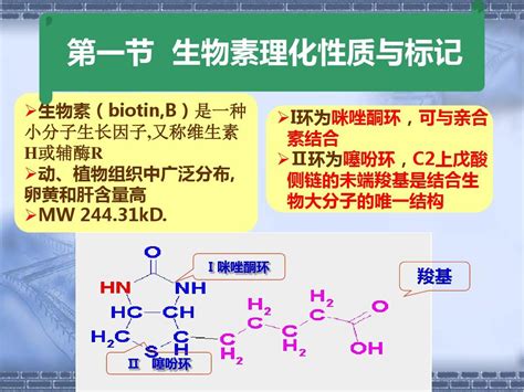 生物素 维生素H 食品级维生素B7/辅酶R 河南郑州 明瑞-食品商务网