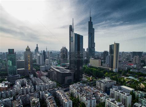 紫南京图片
