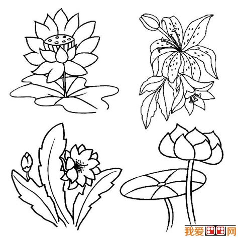 简笔画花朵图片