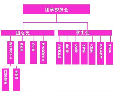 2019-2020团学组织结构图-广州工商学院管理学院
