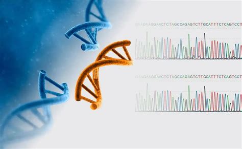 CRISPR/Cas9基因编辑技术大热，非病毒载体技术助力递送系统优化 – 肽度TIMEDOO