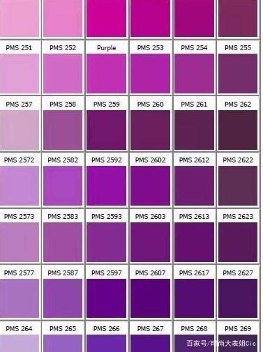 一组经典舒服的紫色配色方案|配色方案|紫色|经典_新浪新闻