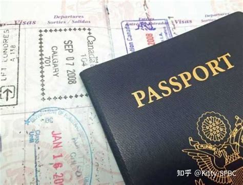 What is my passport document number? - Rent Blog