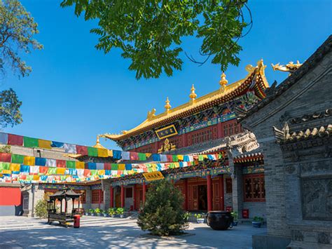 2021青龙寺-旅游攻略-门票-地址-问答-游记点评，西安旅游旅游景点推荐-去哪儿攻略