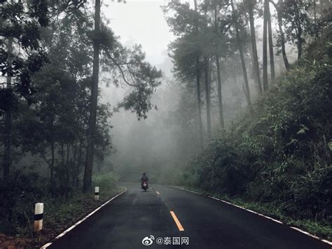 雨季图片 的图像结果