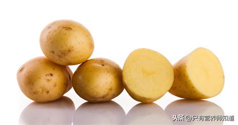 土豆集集团官网