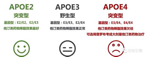 一种检测ApoE单核苷酸多态性的方法与流程