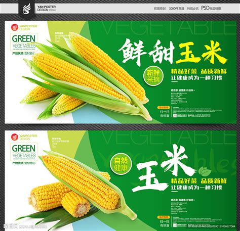 新鲜玉米销售宣传海报展板图片下载_红动中国