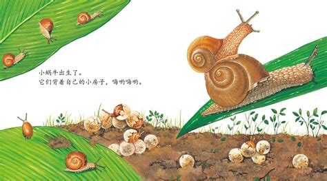 小蜗牛靠自己的故事_知秀网
