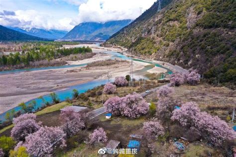 2018西藏林芝桃花爱情旅游线路发布