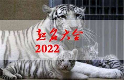 2022年属虎的宝宝名字,霸气虎宝宝名字推荐-周易起名-国学梦