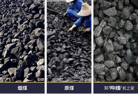 煤是由什么植物变成的 煤的形成原料_知秀网