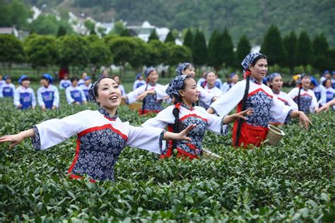 首届陕西网上茶博会安康富硒茶推介活动成功举行|安康|富硒茶|平利_新浪新闻