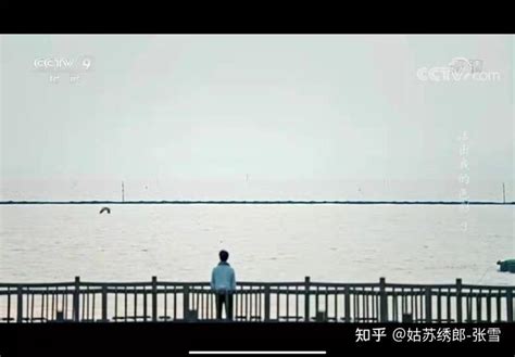 CCTV-9纪录频道ID[鱼群]_腾讯视频