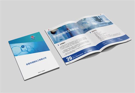 东营企业宣传画册设计案例-东营远见网络公司