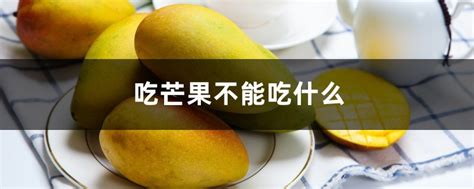 女人为什么不能吃芒果？芒果为什么忽冷忽热 - 学堂在线健康网