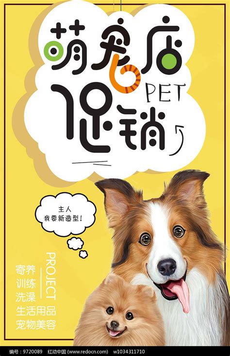 萌宠宠物俱乐部促销开业海报设计图片下载_psd格式素材_熊猫办公