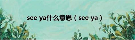 see you什么意思-see you什么意思,see you,什么,意思 - 早旭阅读