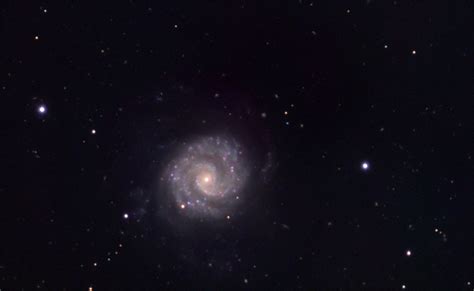 NGC 3596