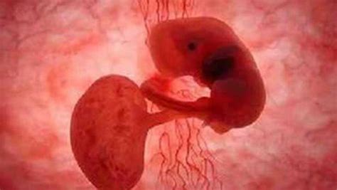 如果你怀孕了，学会这些胎动知识，可以让你掌握胎儿的发育情况