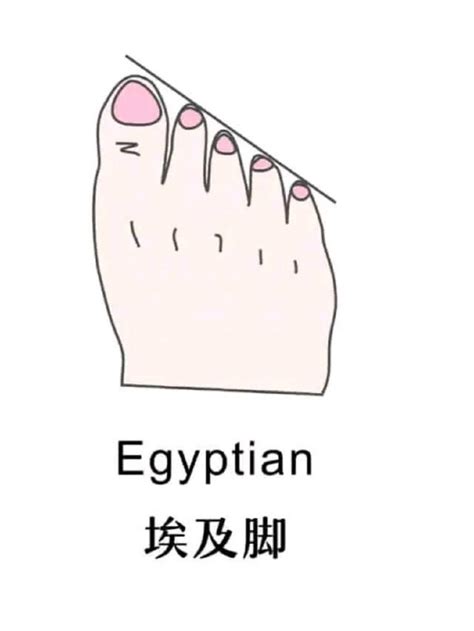 4种最美脚型排行榜，埃及脚堪称“女神”脚，每个女生都想拥有！
