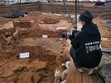 南阳黄山遗址又有新发现：这块独山玉料，将我国制玉年代追溯到近7000年前-河南文化网