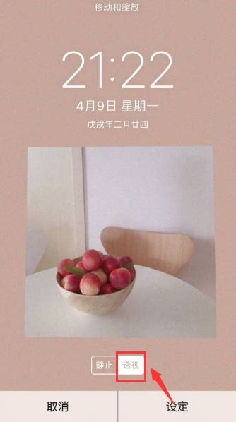 你的照片手机壁纸图片