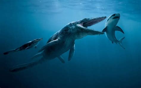 远古海洋霸主一口一个巨齿鲨_腾讯视频