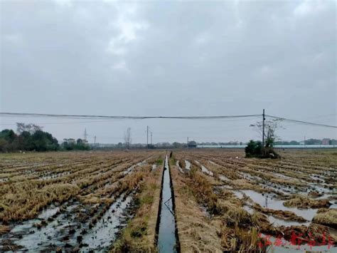 江西信州：实施高标准农田建设 做好“藏粮于地”文章-江南都市网