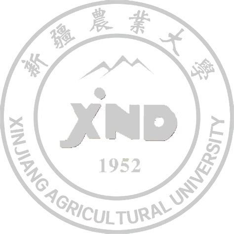 新疆农业大学就业信息网