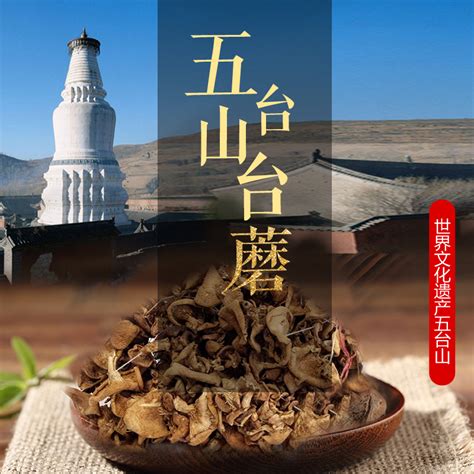山西农产品忻州五台山野生台蘑菇250克X2包礼盒食品食用菌类煲汤_虎窝淘
