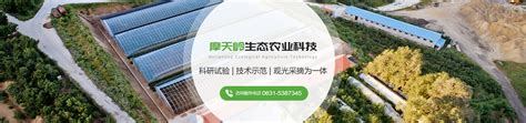 智慧系统-四川智然元素农业科技有限公司