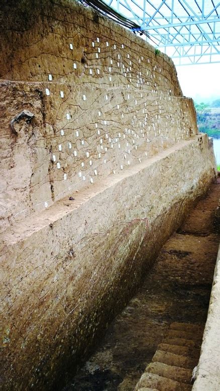华容七星墩遗址发现湖南规模最大新石器时代城址 - 湘史拾遗 - 新湖南