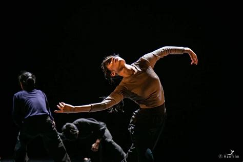 我校教师张建编排舞蹈作品《青春恋歌》在韩国首尔世宗大剧院展演-国际交流合作部