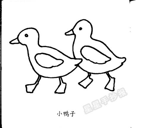 【大图】小鸭子简笔画_简笔画_太平洋亲子网
