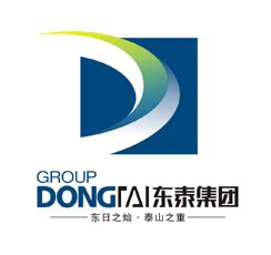 沈阳东泰信息产业发展有限公司 - DTIT东泰