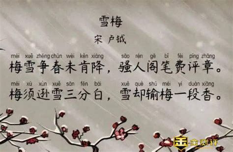 雪梅古诗的诗意及原文 雪梅古诗表达了什么感情 - 天奇生活