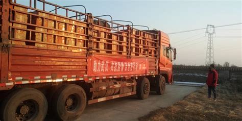 快递站点捐8.5吨苹果送武汉 百世集团免费驰援运输